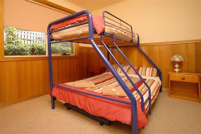 Apollo Bay Backpackers Lodge Værelse billede